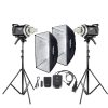 Bộ Kit 2 đèn Studio Godox Flash Kit - MS300II