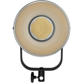 Đèn led Nanlite FS300 Daylight