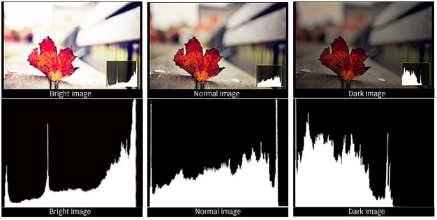 giám sát trường camera