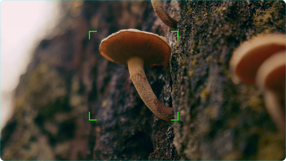 Sirui sniper series - Sông Hồng Camera